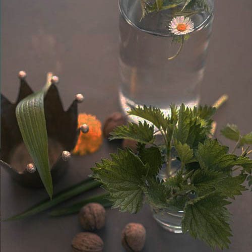 PhytotherapieBG